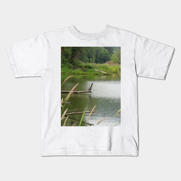 double crested cormorant #1 Kids T-Shirt by DlmtleArt